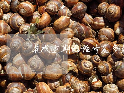 花呗逾期已经修复多久开通 花呗逾期已经修复多久开通