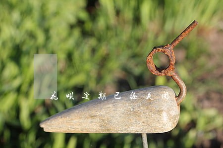 花呗逾期已经关闭 花呗逾期已经关闭