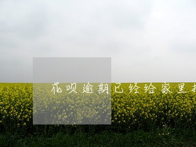 花呗逾期已经给家里打电话了 花呗逾期已经给家里打电话了
