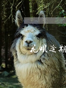 花呗逾期已经还清 花呗逾期已经还清