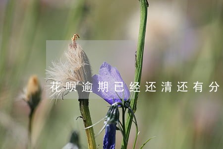 花呗逾期已经还清还有分期未还 花呗逾期已经还清还有分期未还