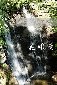 花呗逾期已还完了冻结了怎么恢复 花呗逾期已还完了冻结了怎么恢复