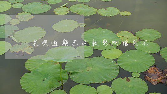 花呗逾期已还款影响信用不 花呗逾期已还款影响信用不