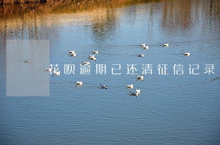 花呗逾期已还清征信记录多久消除 花呗逾期已还清征信记录多久消除