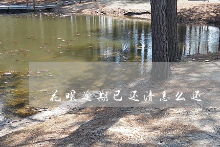 花呗逾期已还清怎么还 花呗逾期已还清怎么还