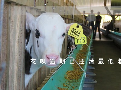 花呗逾期已还清最低怎么使用 花呗逾期已还清最低怎么使用