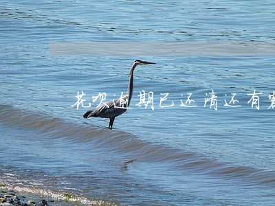 花呗逾期已还清还有额度 花呗逾期已还清还有额度