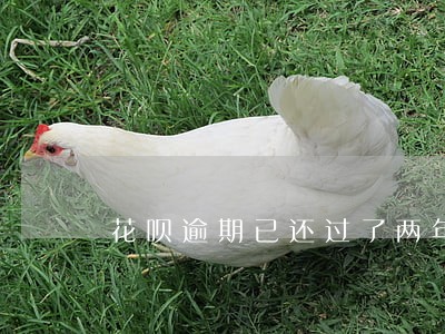 花呗逾期已还过了两年了 花呗逾期已还过了两年了