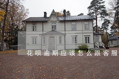 花呗逾期应该怎么跟客服说