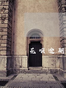 花呗逾期延期成功有什么提示 花呗逾期延期成功有什么提示