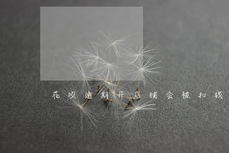 花呗逾期开店铺会被扣钱吗 花呗逾期开店铺会被扣钱吗