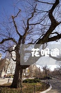 花呗逾期开庭案例 花呗逾期开庭案例
