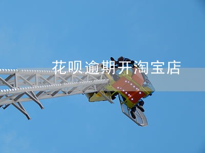 花呗逾期开淘宝店 花呗逾期开淘宝店