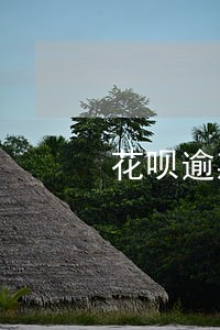 花呗逾期强制用额度