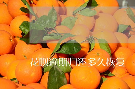 花呗逾期归还多久恢复 花呗逾期归还多久恢复