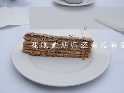 花呗逾期归还有没有涨额度的 花呗逾期归还有没有涨额度的