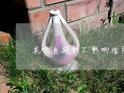 花呗逾期影不影响信用社贷款 花呗逾期影不影响信用社贷款