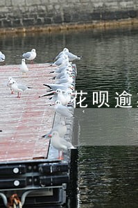 花呗逾期影不影响助学贷款 花呗逾期影不影响助学贷款