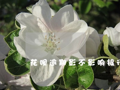 花呗逾期影不影响银行贷款 花呗逾期影不影响银行贷款