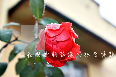 花呗逾期影像公积金贷款吗 花呗逾期影像公积金贷款吗