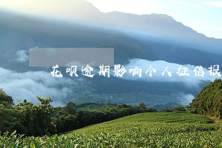花呗逾期影响个人征信报告么 花呗逾期影响个人征信报告么