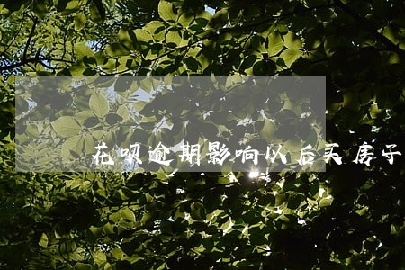 花呗逾期影响以后买房子嘛 花呗逾期影响以后买房子嘛