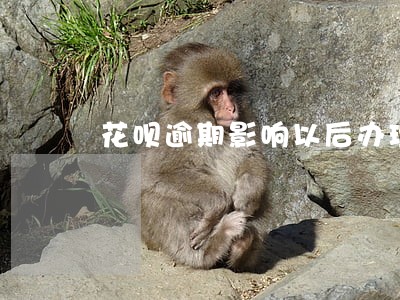 花呗逾期影响以后办理车贷嘛 花呗逾期影响以后办理车贷嘛