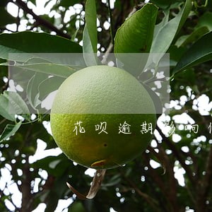 花呗逾期影响住房公积金