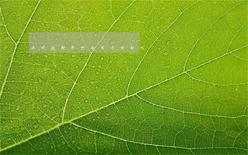 花呗逾期影响信用卡提额吗 花呗逾期影响信用卡提额吗