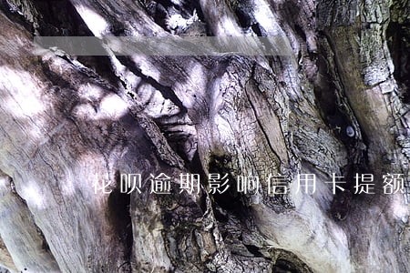 花呗逾期影响信用卡提额度吗 花呗逾期影响信用卡提额度吗