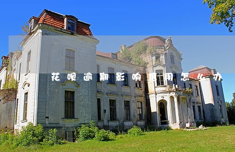 花呗逾期影响信用怎么办