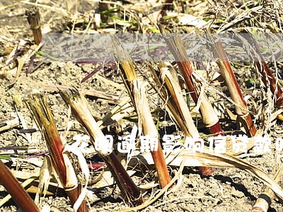 花呗逾期影响信贷款吗 花呗逾期影响信贷款吗