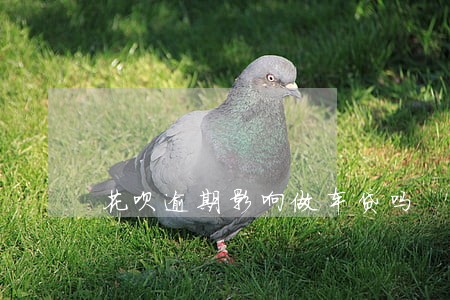 花呗逾期影响做车贷吗