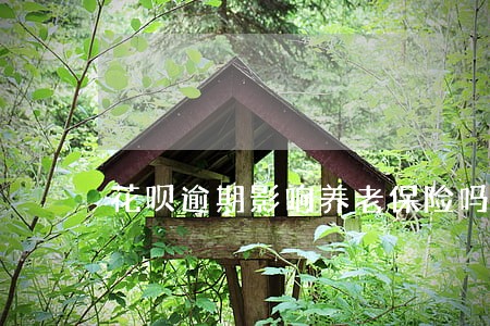 花呗逾期影响养老保险吗 花呗逾期影响养老保险吗