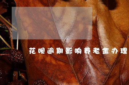 花呗逾期影响养老金办理