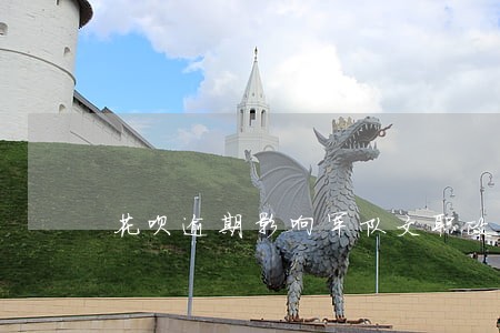 花呗逾期影响军队文职政审吗