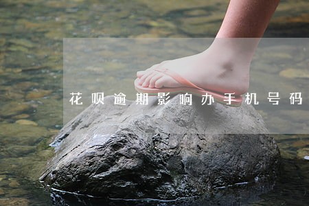 花呗逾期影响办手机号码 花呗逾期影响办手机号码