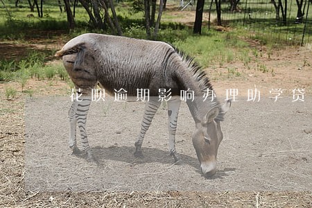 花呗逾期影响办理助学贷款吗 花呗逾期影响办理助学贷款吗