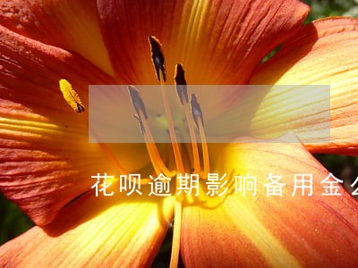 花呗逾期影响备用金么 花呗逾期影响备用金么