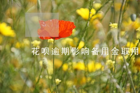 花呗逾期影响备用金取用吗 花呗逾期影响备用金取用吗