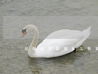 花呗逾期影响多久恢复正常 花呗逾期影响多久恢复正常