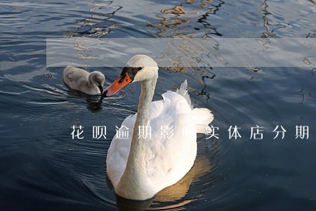 花呗逾期影响实体店分期手机吗 花呗逾期影响实体店分期手机吗
