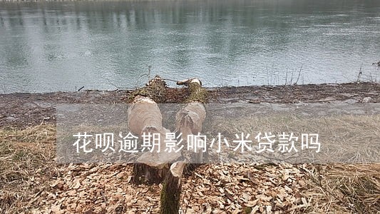 花呗逾期影响小米贷款吗 花呗逾期影响小米贷款吗