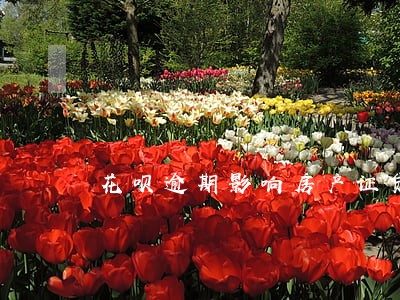 花呗逾期影响房产证贷款吗 花呗逾期影响房产证贷款吗
