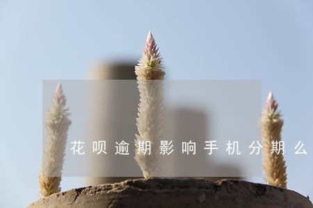 花呗逾期影响手机分期么 花呗逾期影响手机分期么