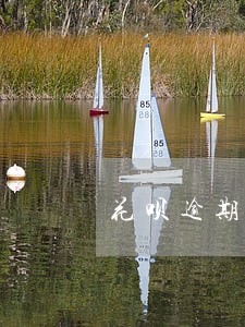 花呗逾期影响手机办卡吗 花呗逾期影响手机办卡吗