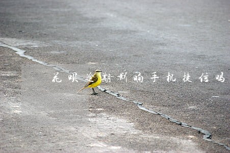 花呗逾期影响手机捷信吗 花呗逾期影响手机捷信吗