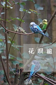花呗逾期影响抵押贷吗 花呗逾期影响抵押贷吗