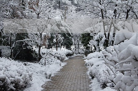 花呗逾期影响捷信么 花呗逾期影响捷信么