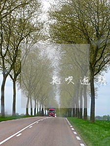 花呗逾期影响淘宝卖家 花呗逾期影响淘宝卖家